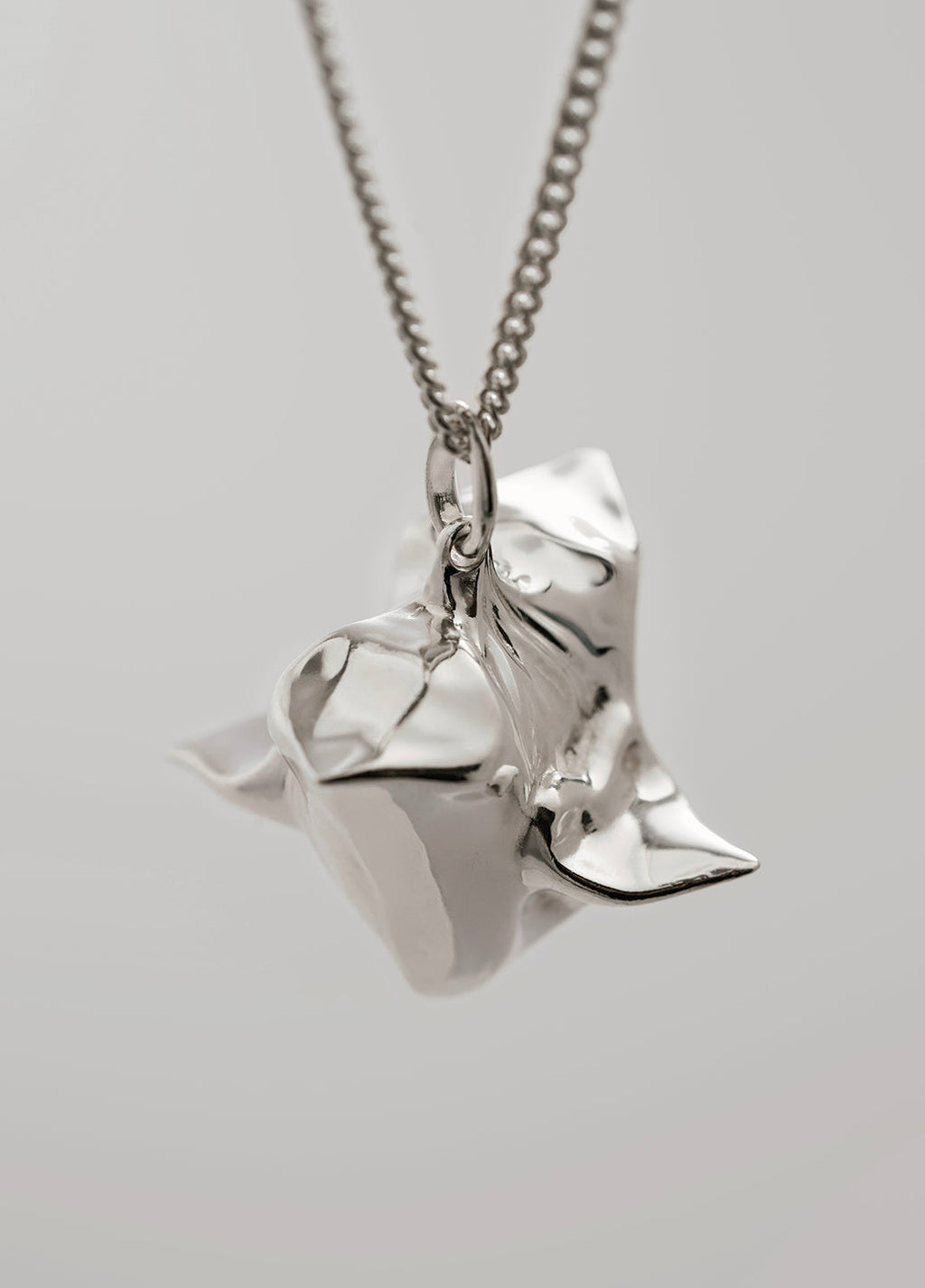 1.0 Trapa Pendant — Silver Chain