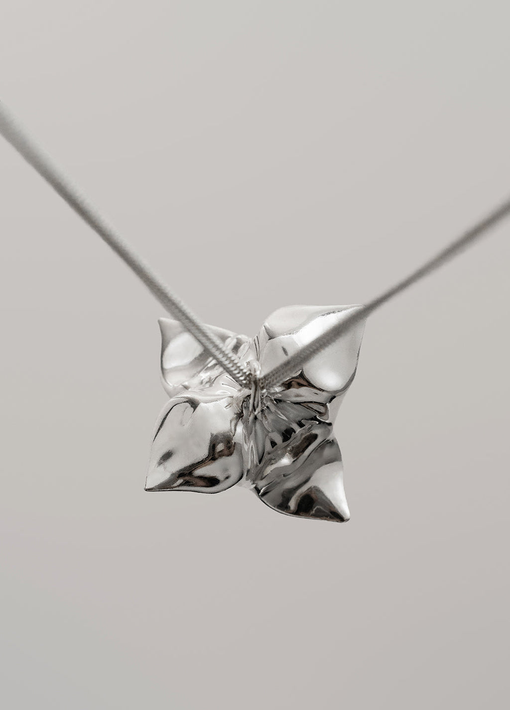 1.0 Trapa Pendant — Silver Chain