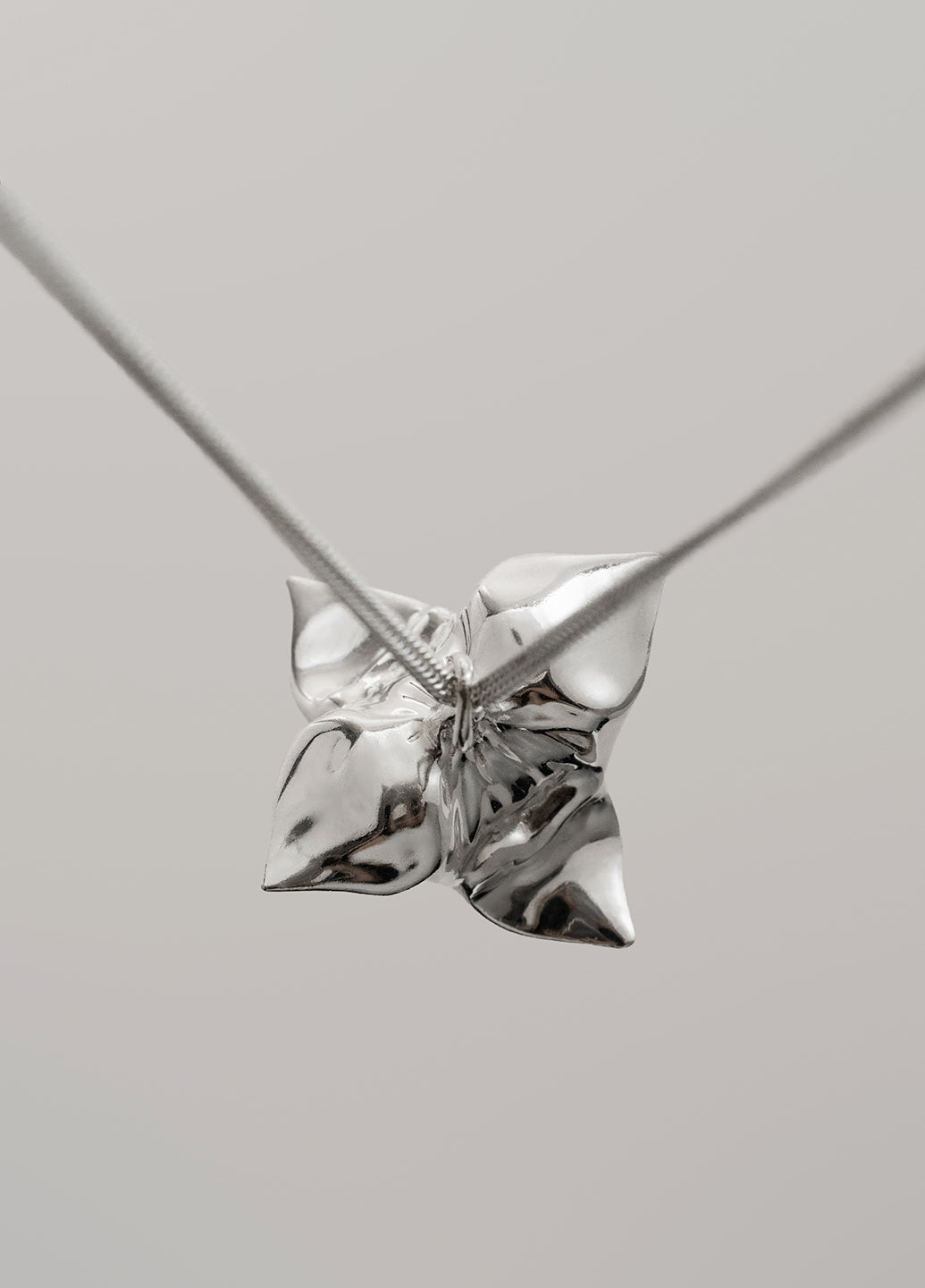 1.0 Trapa Pendant — Silver Chain