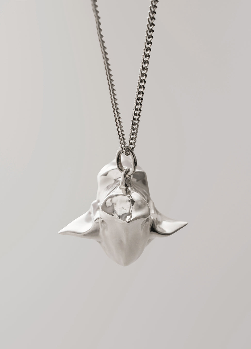 1.0 Trapa Pendant — Silver Chain
